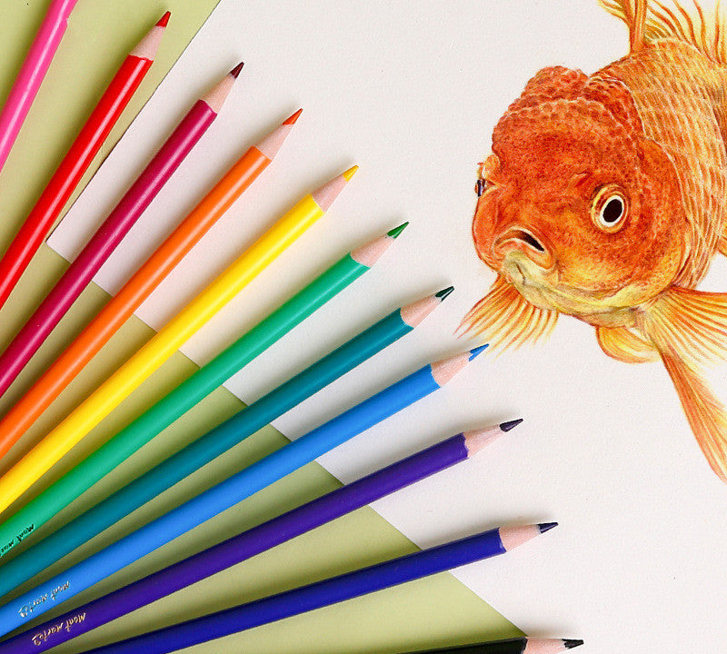 24-Color Creative Lead Set – Training & Organization Kit